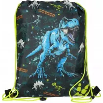 Worek na buty Dino STARPAK 550836
