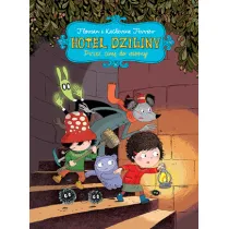 Hotel Dziwny