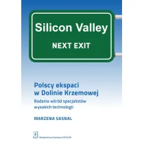 Polscy ekspaci w Dolinie Krzemowej