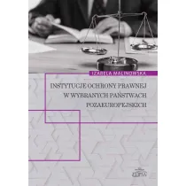 Instytucje ochrony prawnej w wybranych pa�stwach pozaeuropejskich
