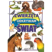 Zwierzta. Odkrywam wiat