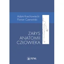 Zarys anatomii cz�owieka