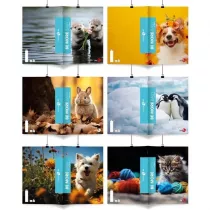 Koh-I-Noor Zeszyt A4/96K linia Be More Baby (10szt)