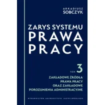 Zarys systemu prawa pracy. Tom 3. Zak�adowe �r�d�a prawa pracy oraz zak�adowe porozumienia administracyjne