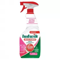 Ludwik MAXX POWER kabiny prysznicowe 600 ml