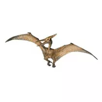 Pteranodon