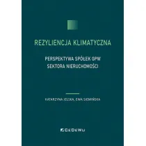 Rezyliencja klimatyczna