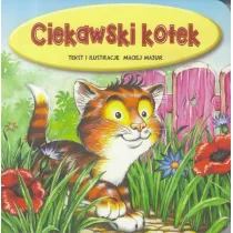Ciekawski kotek