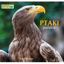 Poznajemy zwierzta. Ptaki polskie LIWONA