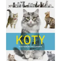 Koty. Ilustrowany przewodnik