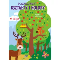 Poznajemy ksztaty i kolory. W lesie