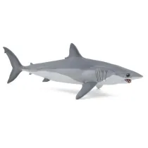 Ostronos atlantycki (rekin mako)