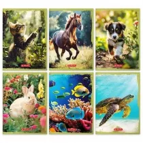 Herlitz Zeszyt A5/16K linia podwjna Animals (20szt)