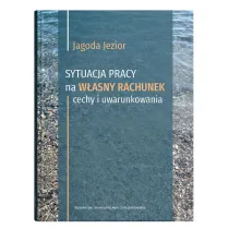 Sytuacja pracy na w�asny rachunek: cechy i uwarunkowania