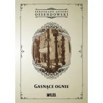Gasn�ce ognie