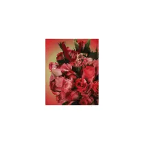 Canpol Torebka ozdobna TR-30 26 x 32 cm