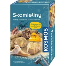 Zestaw Archeologiczny Skamieliny KOSMOS Piatnik