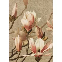 Skona Ting Karnet ST400 B6 + koperta Magnolia