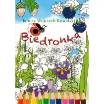 Biedronka