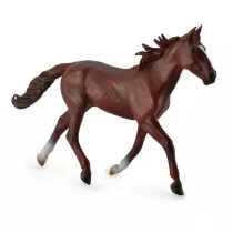 Ogier standardbred pacer kasztanowy