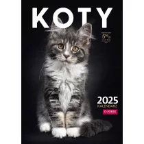 Kalendarz 2025 A4 cienny Koty