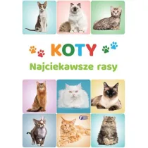 Koty. Najciekawsze rasy