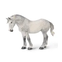 Klacz percheron siwa jabkowita