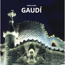 Gaudi