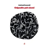 Odpad�o p� ziemi