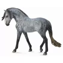Ko Andalusian Stallion Dark Dapple Grey