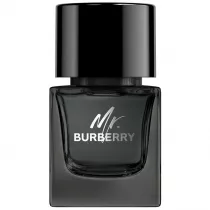Burberry Mr.  EDP spray 50 ml