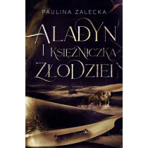 Aladyn i Ksi�niczka Z�odziei