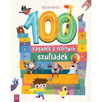 100 zagadek z rnych szufladek