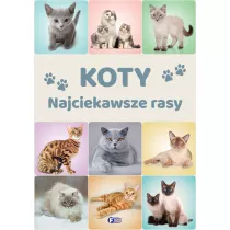 Koty. Najciekawsze rasy