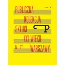 Format P Nr.6 Publiczna kolekcja sztuki XXI w. ...