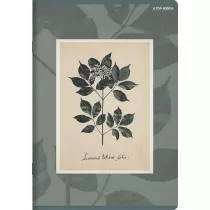 Top-2000 Zeszyt Flowers A5 z marginesem Linia, 9 mm, margines 32 kartki