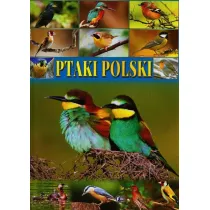Ptaki Polski