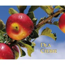 Dla Ciebie. Pere�ka 120