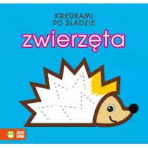 Zwierzta. Kredkami po ladzie
