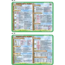Visual System Podkadka edukacyjna. Podzia wypowiedze