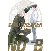 Wind Breaker. Tom 12