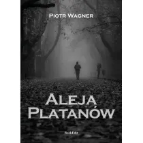 Aleja Platan�w