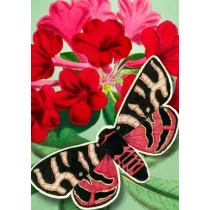 Madame Treacle Karnet B6 POP-UP z kopert� Czerwony motyl