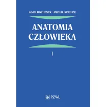 Anatomia cz�owieka. Tom 1
