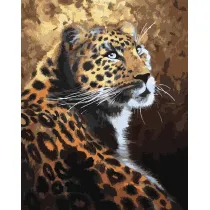 Ideyka Malowanie po numerach - Drapieznik 40x50cm