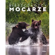 BIESZCZADZCY MOCARZE OK�ADKA Z NIED�WIEDZIAMI