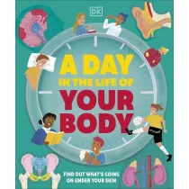 Day in the Life of Your Body
