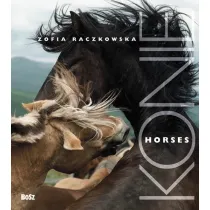 Konie / Horses