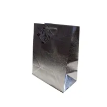 Panorama Torebka ozdobna hologram PL-2H ma�a