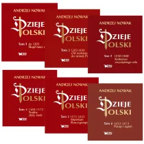 Pakiet Dzieje Polski. Tomy 1-6